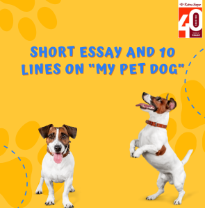 Short Essay and 10 Lines on My Pet Dog